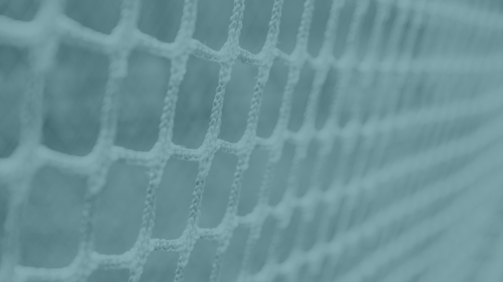 mesh from a hockey or lacrosse goal net